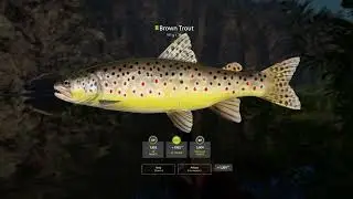 RF4 - [Belaya River] 2 Spots for 200S/HR (2.25.2024)