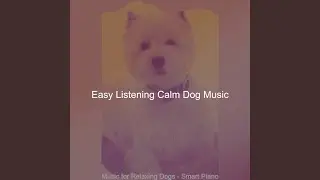 Simplistic Calming Pups