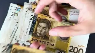 Counting money - 200 KGS #money #asmr #satisfying