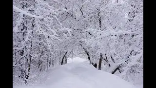 В Краснодаре пошел снег, красота 