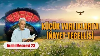 Prof. Dr. Şadi Eren - Mesnevi Dersleri 23- Küçük Varlıklarda İnayet Tecellisi