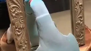 Смешные животные 2020 😂 Смешные животные до слёз