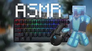 The SMOOTHEST Hive ASMR…. | 240 fps |