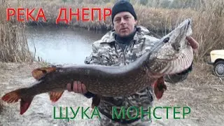 Щука-Монстр на реке Днепр. Рыбалка осенью. ловля на жерлицы.