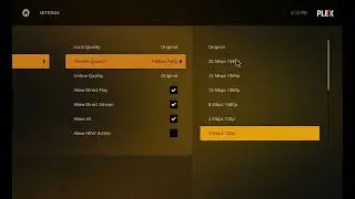 plex playback error