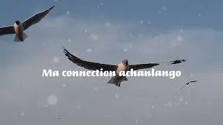 Shammah Vocalz-Advantage