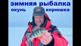 Зимняя рыбалка на Финском заливе в районе Репино