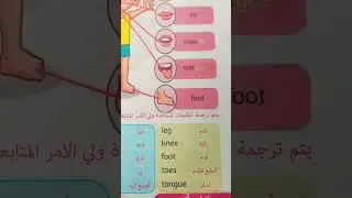 اعضاء جسم الانسان في اللغه الانجليزيه