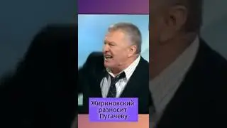 Жириновский наплевал на Пугачеву. Он всё знал! #топ #рекомендации #тренды #жириновский #shorts
