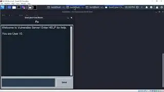 Vulnserver/Chat Server