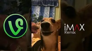 Собака лает ля ля (iMΛX Remix)