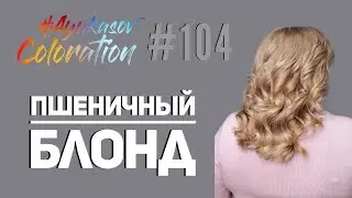#AyukasovColoration