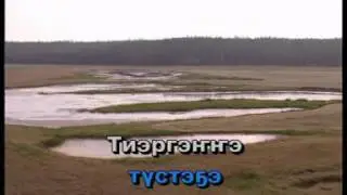 саныыбын торообут алааспын