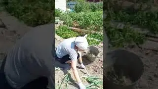 Внуки помогают бабушке