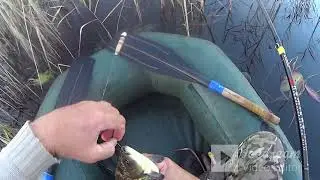 КАРАСИ по ХОЛОДНОЙ Воде!