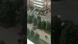 В Краснодаре уничтожают кустарники на аллее