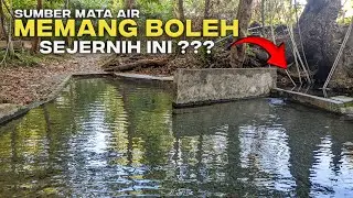 Sumber mata air abadi meskipun dimusim kemarau tidak pernah surut || Air jernih dan bisa dikonsumsi