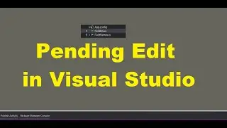 Pending Edit in Visual Studio