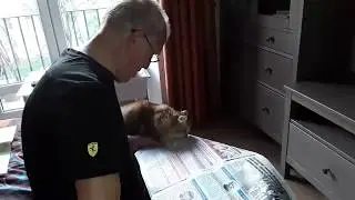 МАРУСЯ СЛУШАЕТ,  ДА ЕСТ...