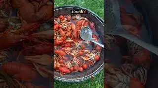 А Галя?😂🦞 #раки #ракиоки #seafood #крабы #вареныераки #морепродукты #food #рецепт #живыераки #еда