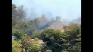 БЕЛОГРАДЧИК / ПОЖАР М/У ХАНЧЕТО И ГРАДА