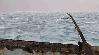 What's In The Ocean Will Startle You