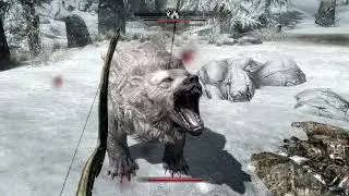 Skyrim | Find Ring of Pure Mixtures inside Forsaken Cave