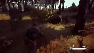 Live vigor console