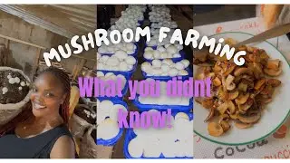 Button Mushroom Farming basics