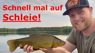 Schnell mal auf Schleie nach dem Feierabend!