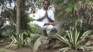 Padangushtasana demonstration | yoga asanas | Ajan Yogi