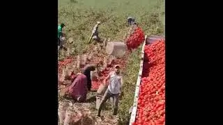 Crazy Engineering