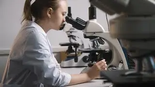 Что такое «мелозирный год»?