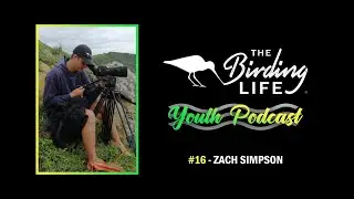 The Birding Life Youth Podcast | #16 - Zach Simpson