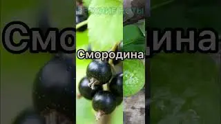 🔥🔥Стойкий парфюм, со вкусным ароматом!