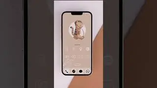 I created the ULTIMATE iPhone set up !
