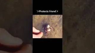 Friendship #viral #viralfeed #viral_video #viralshort #sarankumar #trendingvideo  #trendingshorts