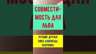 Совместимость льва