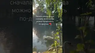Нельзя начать жизнь сначала, но ее всегда можно продолжить по-другому ♥️#любовьксебе #любовькмиру