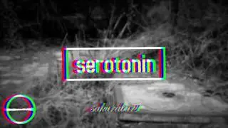 Serotonin (After Effects Visual)