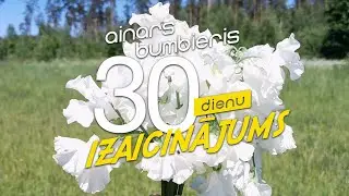 Ainars Bumbieris - Baltais puķu zirnis - 30 dienu izaicinājums