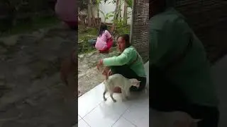 Keponakan ku main kerumah ku seneng banget 😆