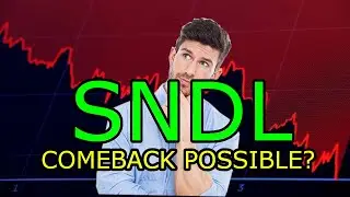 CAN SNDL MAKE A COMEBACK?|SUNDIAL GROWERS SNDL STOCK ANALYSIS|SNDL BUY OR SELL|SNDL NEWS UPDATES