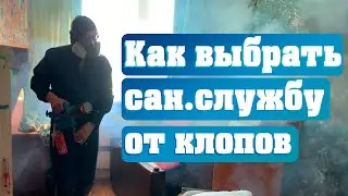 Как выбрать санитарную службу от клопов? На что обращать внимание, какие документы спрашивать