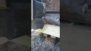 замена сгнившего бревна