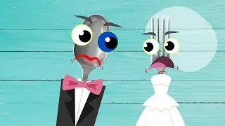 WEDDING OF FUNNY THINGS - Doodles Comedy Compilation #3