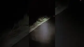 Night Travel Danger Place