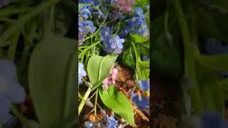 VID 20200530 163449