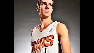 Goran Dragic - Experience