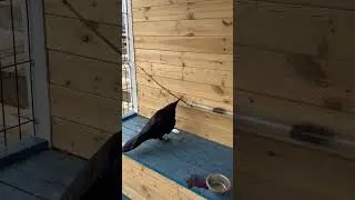 Повысил уровень сложности 